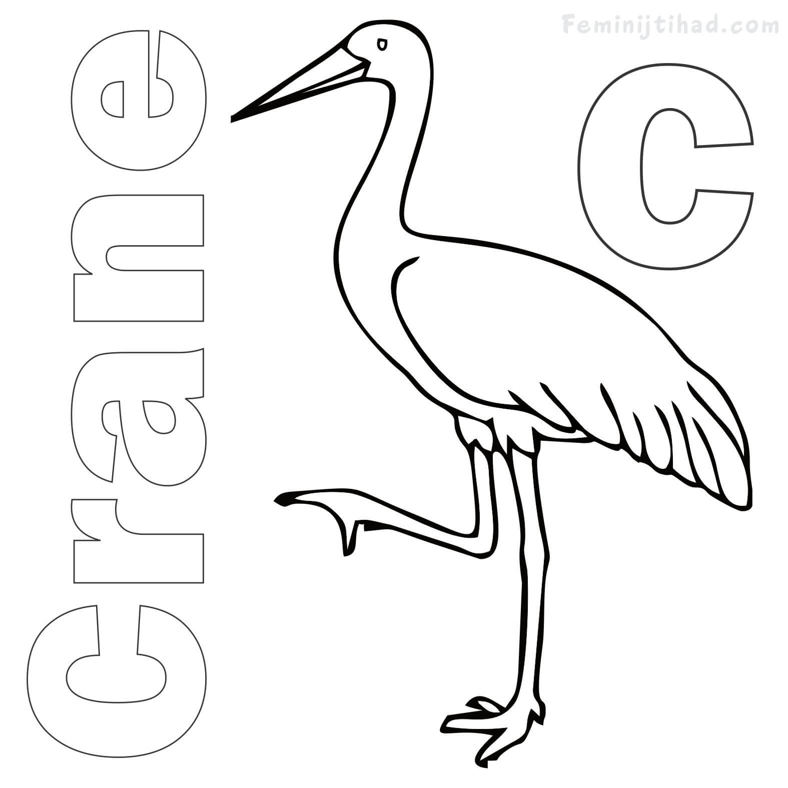 Crane Coloring Pages Free Download Coloring Pages For Kids 1575x1575 Crane Coloring Pages Free Download Coloring Pages For Kids