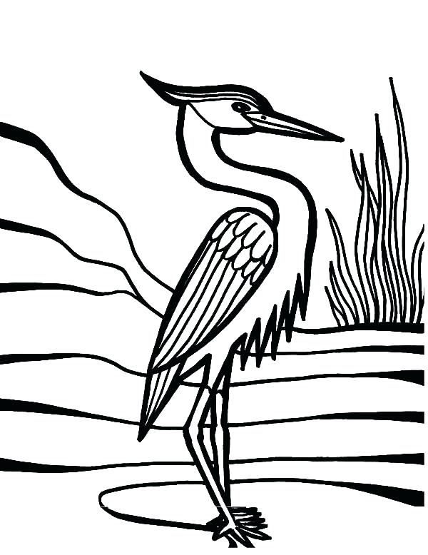 Peacock Feather Coloring Page Feather Coloring Page Crane Bird 600x778 Peacock Feather Coloring Page Feather Coloring Page Crane Bird