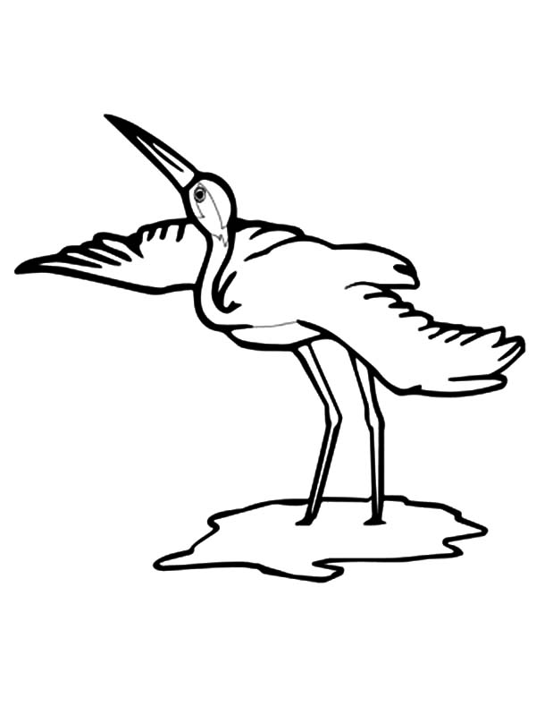 Whooping Crane Bird Coloring Pages 600x799 Whooping Crane Bird Coloring Pages
