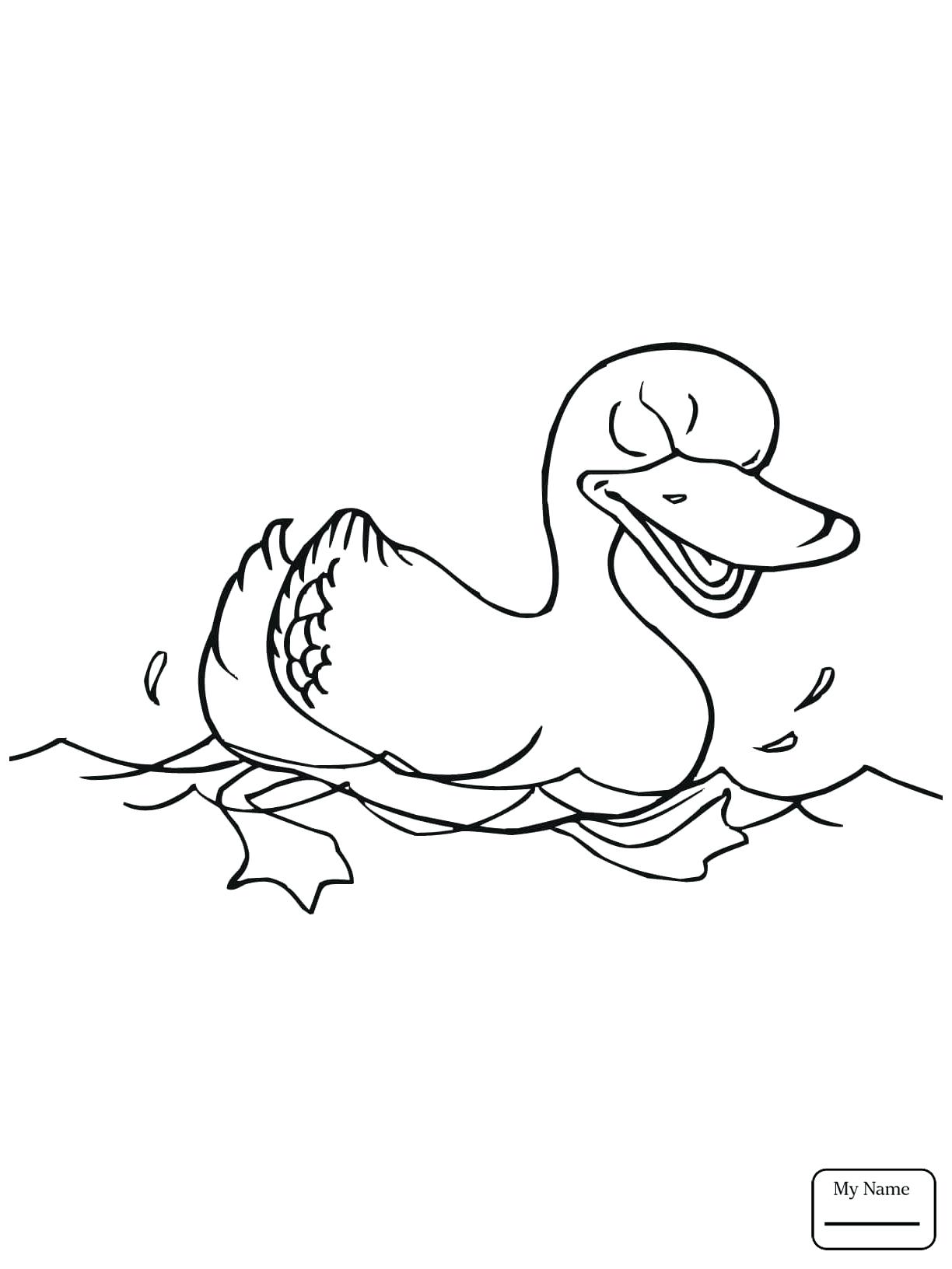 Special Pond Animals Coloring Pages Crane In The Page Free 1224x1632 Special Pond Animals Coloring Pages Crane In The Page Free