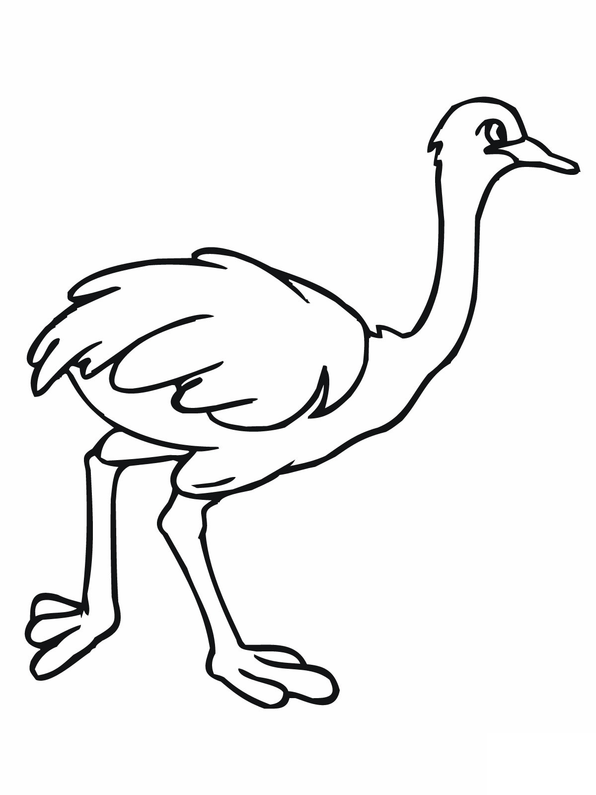 Printable Ostrich Coloring Pages For Kids Ostrich Coloring Page 1200x1600 Printable Ostrich Coloring Pages For Kids Ostrich Coloring Page