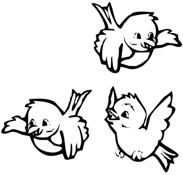 Bird Coloring Pages For Preschoolers Download Bird Coloring Pages 768x733 Bird Coloring Pages For Preschoolers Download Bird Coloring Pages