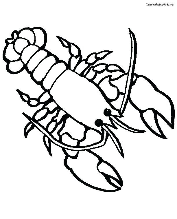 612x756 Crawfish Coloring Page Coloring Pages Crawfish Boil Coloring Pages