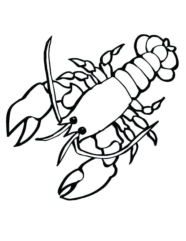 600x776 Crawfish Coloring Page Crayfish Coloring Page Coloring Page