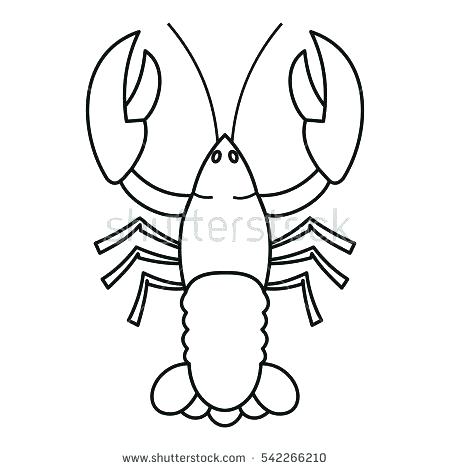 450x470 Crawfish Coloring Page How To Draw A Lobster Step Step How To Draw