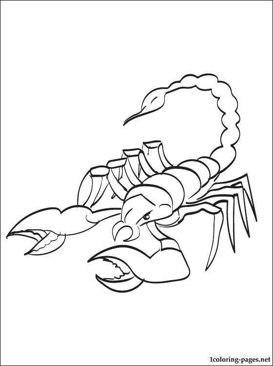 560x750 Crayfish Coloring Page