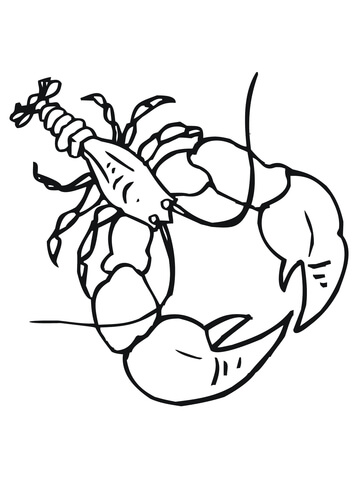 360x480 Crayfish Coloring Page