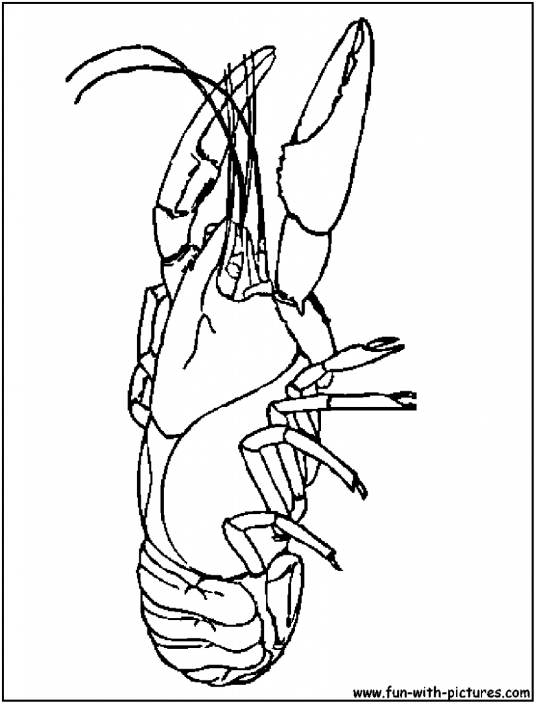 780x1024 Crossbow Coloring Pages