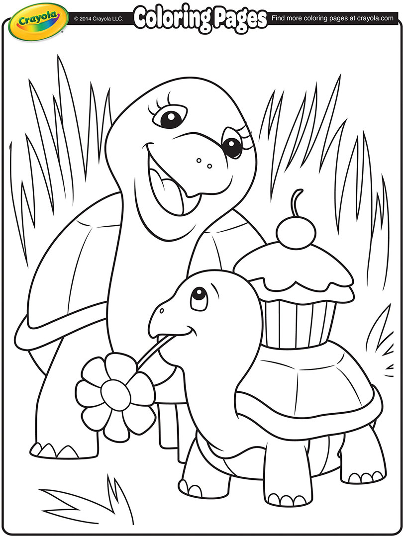 Mothers Day Turtle 810x1080 Mothers Day Turtle