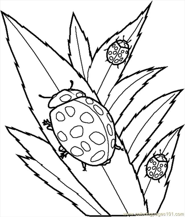 Create Your Own Coloring Book Online Other Kids Coloring Pages 650x761 Create Your Own Coloring Book Online Other Kids Coloring Pages