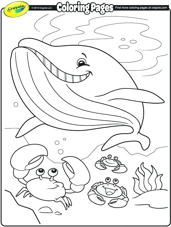 572x762 Your Own Coloring Page With Your Name Crayola Make Your Own