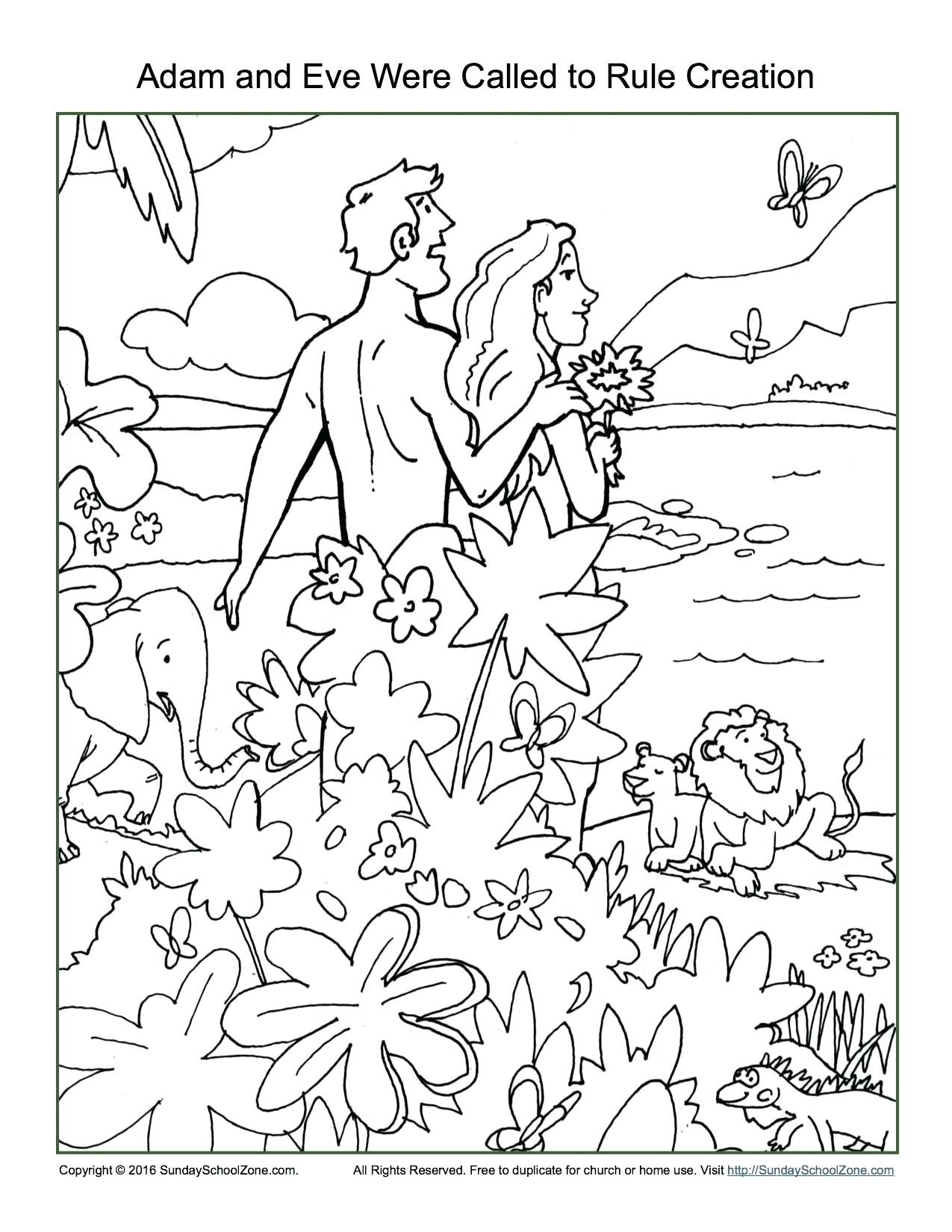 1275x1650 Printable Preschool Creation Crafts Garden Of Eden Craft Free