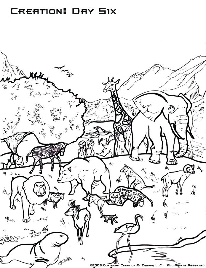695x900 Creation Coloring Page Creation Coloring Page And Coloring Sheet