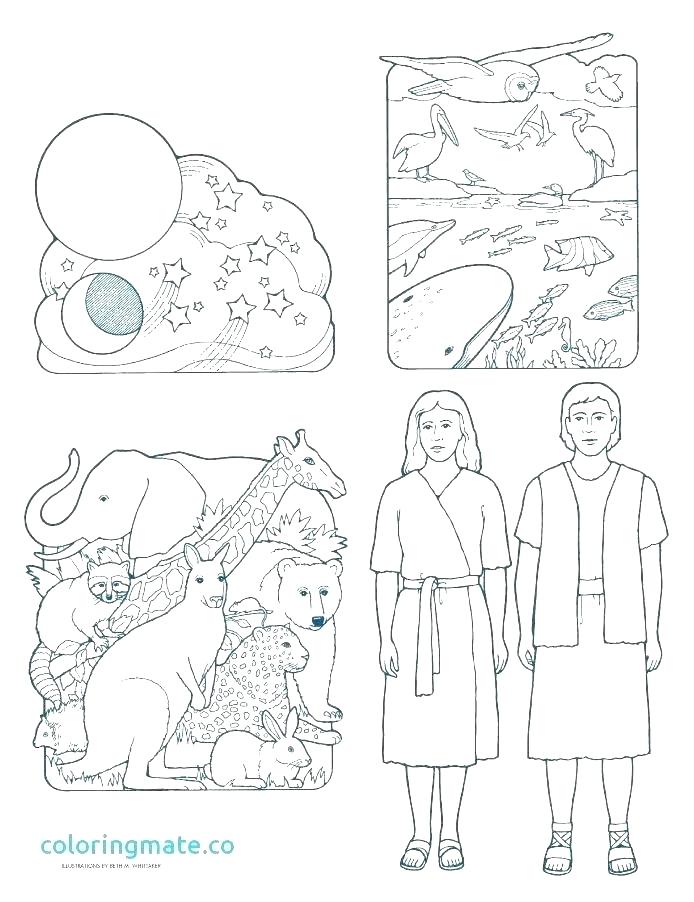 694x902 Christian Creation Coloring Pages Lovely Day 7 Contemporary Resume