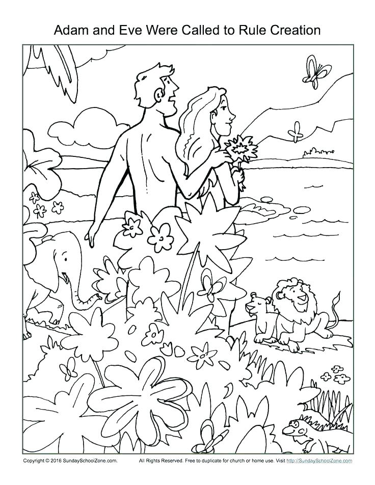 736x952 Creation Coloring Page Six Days Of Creation Coloring Pages