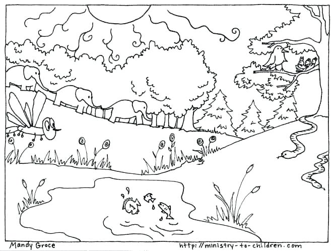 665x498 Creation Coloring Pages Ideas About Creation Coloring Pages