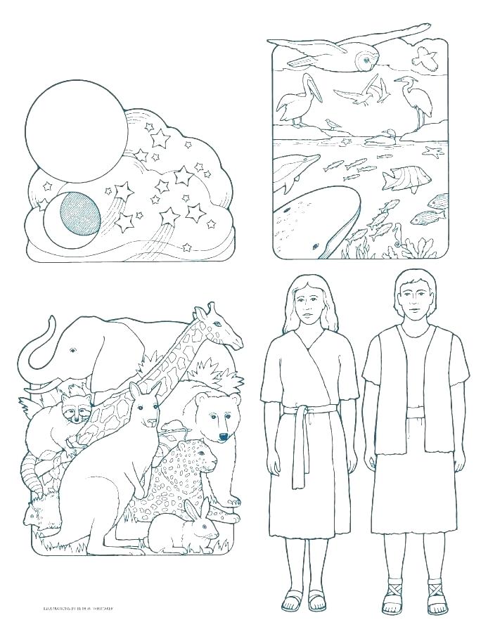 Creation Coloring Page Creation Color Pages Creation Coloring 694x902 Creation Coloring Page Creation Color Pages Creation Coloring