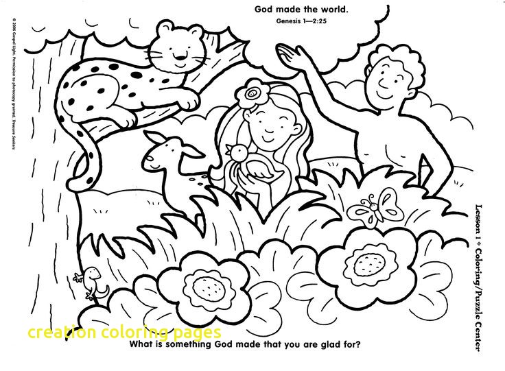 Creation Coloring Pages 736x541 Creation Coloring Pages