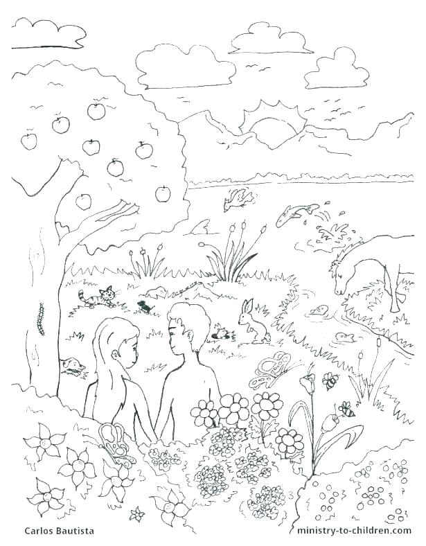 Creation Coloring Pages S Star Creation Coloring Pages Pdf Sosin 615x788 Creation Coloring Pages S Star Creation Coloring Pages Pdf Sosin