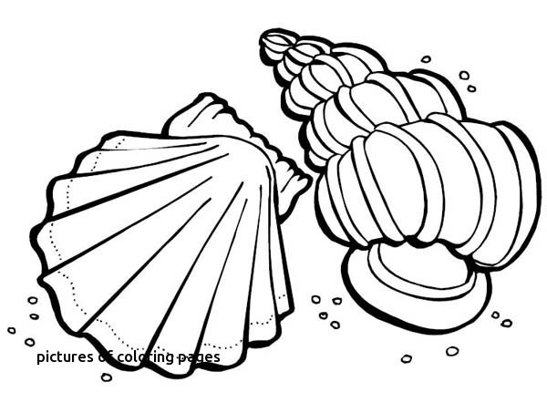 Creation Coloring Pages Fun Time 600x442 Creation Coloring Pages Fun Time