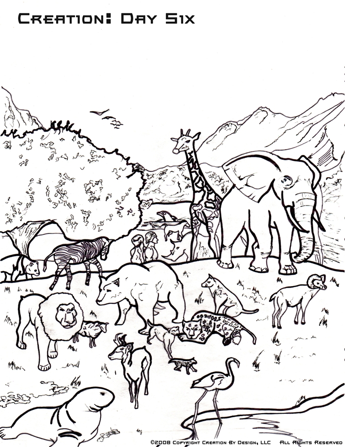 Category Free Coloring Pages For Children Games 695x900 Category Free Coloring Pages For Children Games