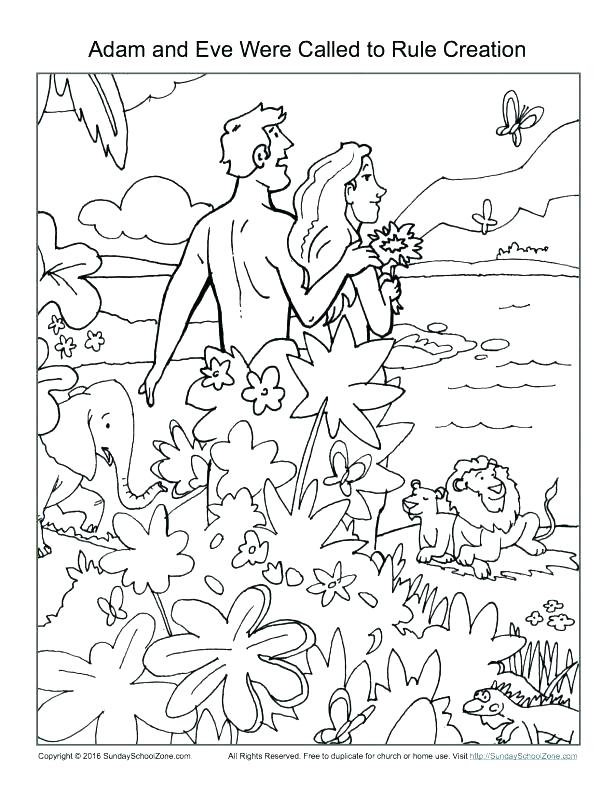 Mango Coloring Pages Bible Creation Coloring Pages Creation Bible 615x796 Mango Coloring Pages Bible Creation Coloring Pages Creation Bible