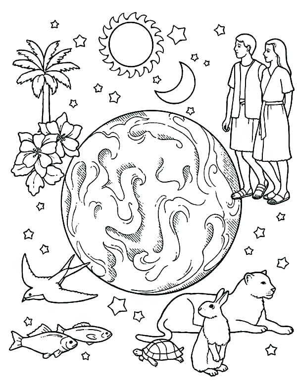600x780 Creation Color Pages Coloring Pages Of Bible Creation Story 7 Days