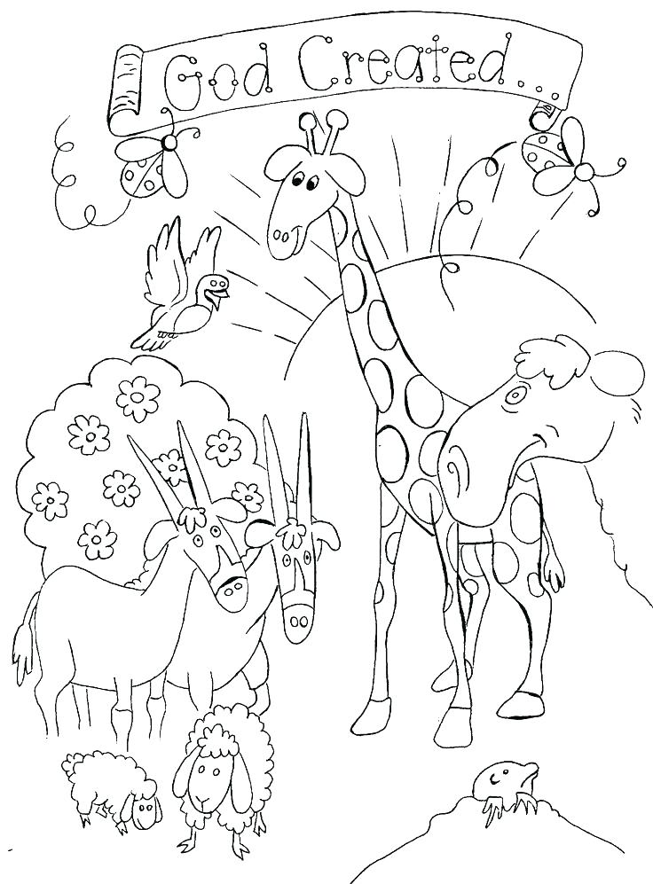 736x997 Creation Story Coloring Pages Bible Stories Coloring Pages Bible