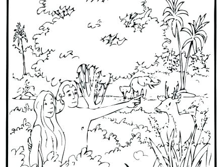 440x330 Creation Story Coloring Pages Printable Bible Story Coloring Pages