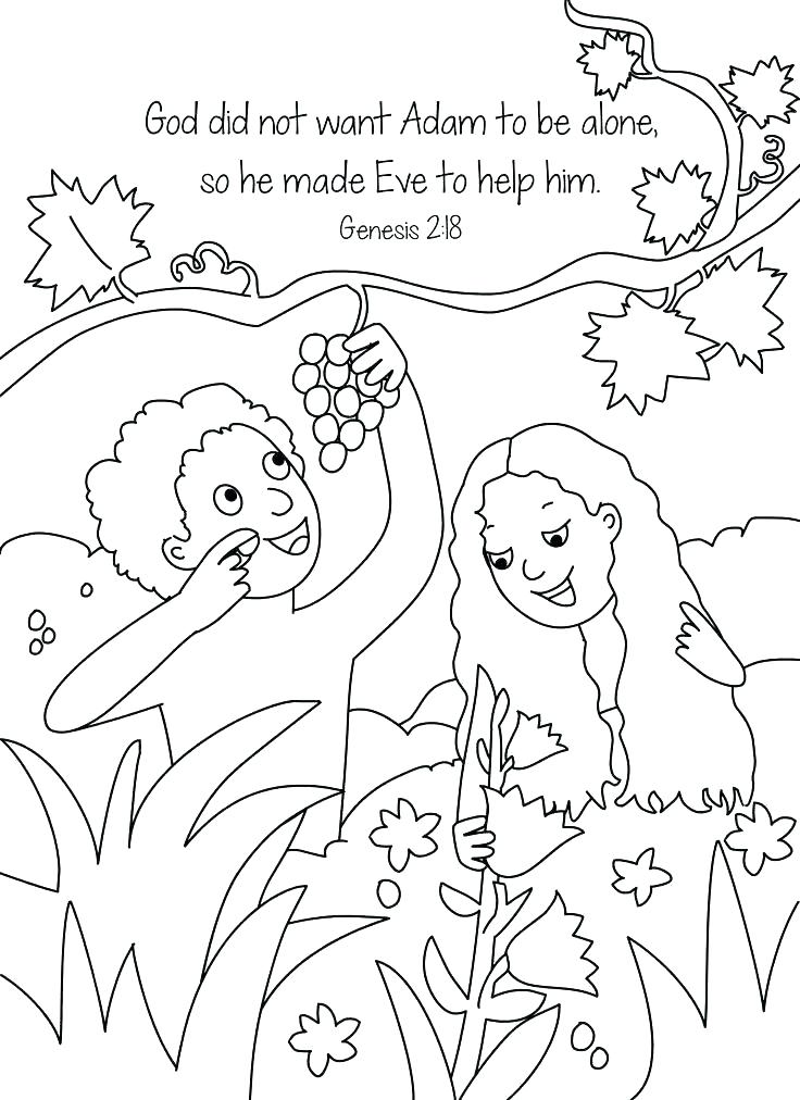 736x1012 Coloring Pages Of Gods Creation