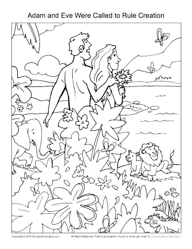 615x796 Christian Creation Coloring Pages For Story Bible Preschoolers God