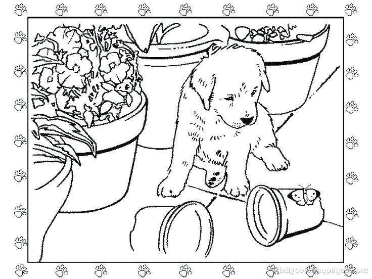 736x552 Creative Coloring Pages Creative Coloring Pages For Adults Color
