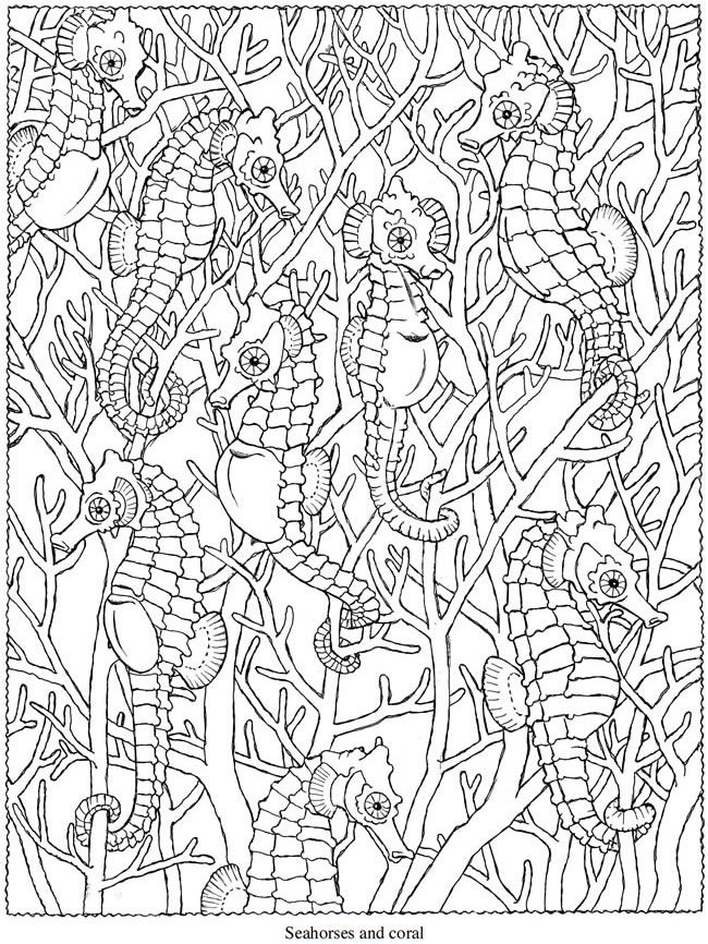 786 Best Coloring Pages Images On Coloring Books 650x866 786 Best Coloring Pages Images On Coloring Books