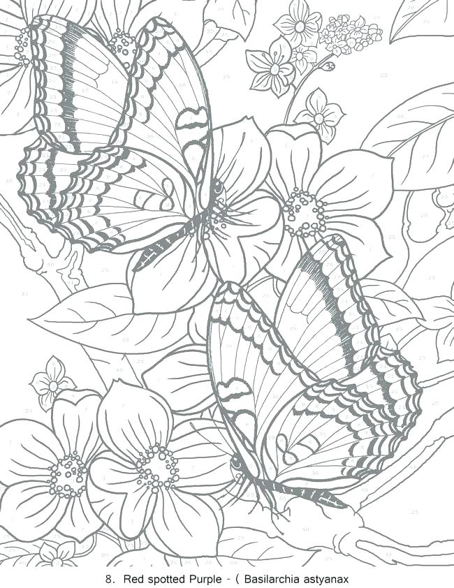 650x842 Creative Coloring Books