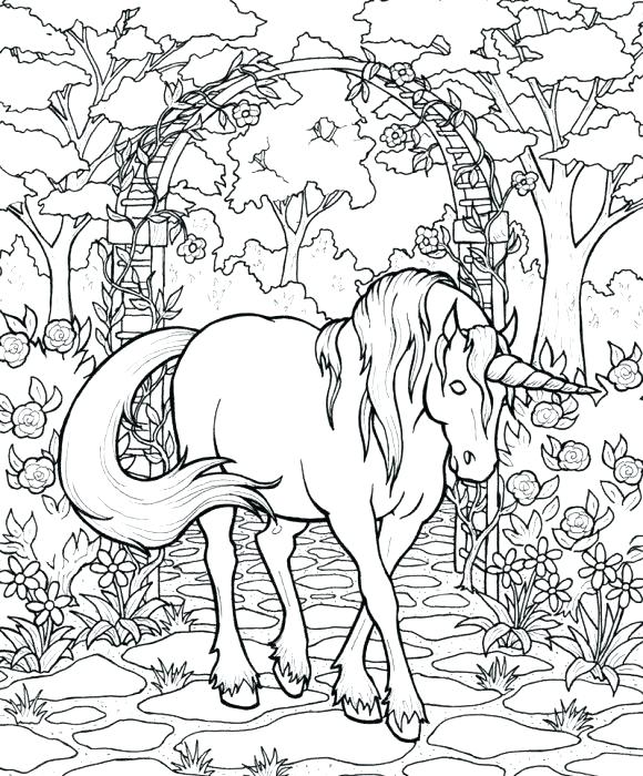 Greek Mythology Creatures Coloring Pages Mythical Creature Picture 580x700 Greek Mythology Creatures Coloring Pages Mythical Creature Picture