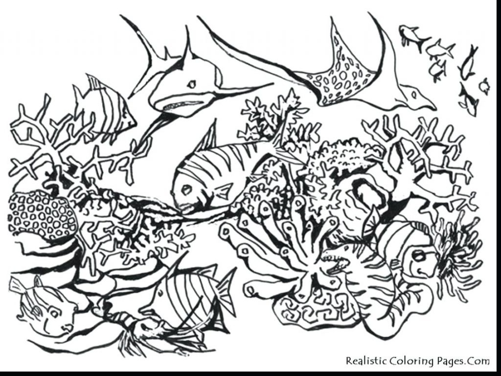 Quick Sea Creatures Coloring Pages Page Beautiful Realistic 1024x768 Quick Sea Creatures Coloring Pages Page Beautiful Realistic