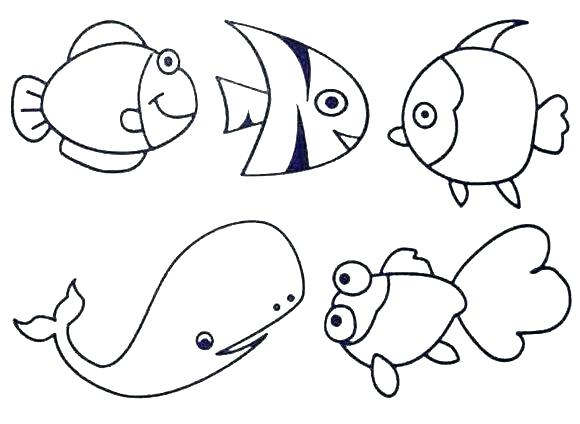 Sea Creature Coloring Pages Ocean Animals Coloring Pages Creatures 580x424 Sea Creature Coloring Pages Ocean Animals Coloring Pages Creatures