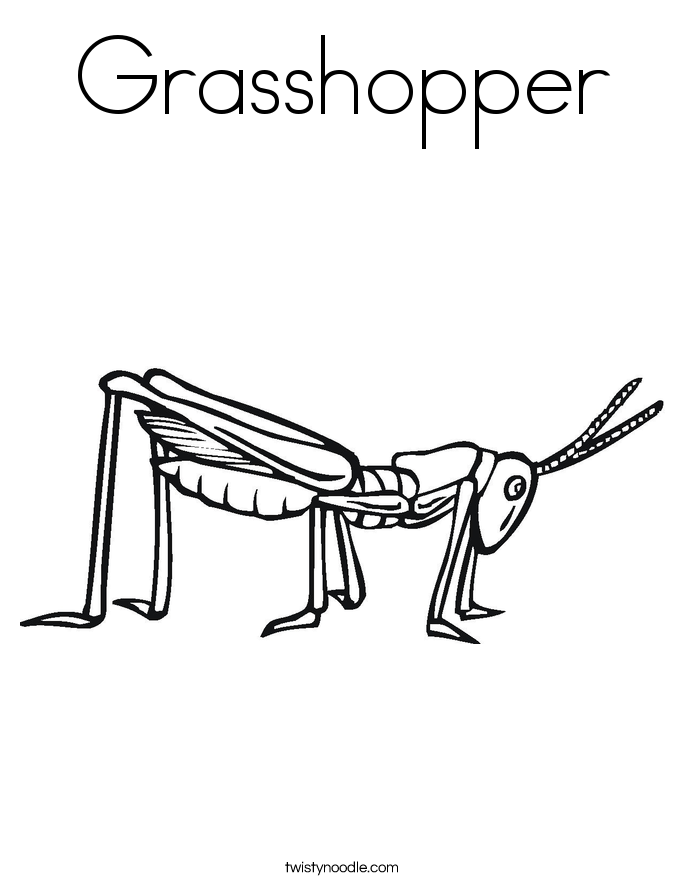 Cricket Coloring Page 685x886 Cricket Coloring Page