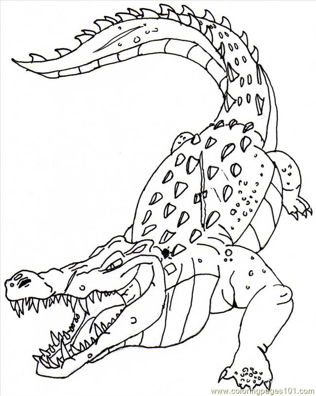 650x814 Crocodile Coloring Page 506137