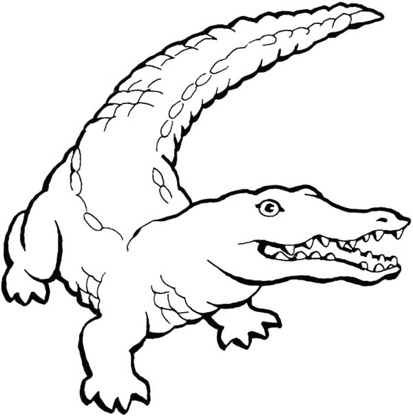 600x604 Crocodile Coloring Pages Cute Crocodile Coloring Pages