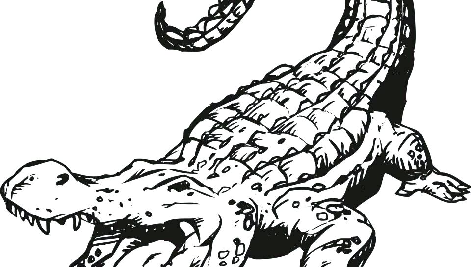 960x544 Cartoon Baby Crocodile Coloring Pages Cartoon Baby Crocodile