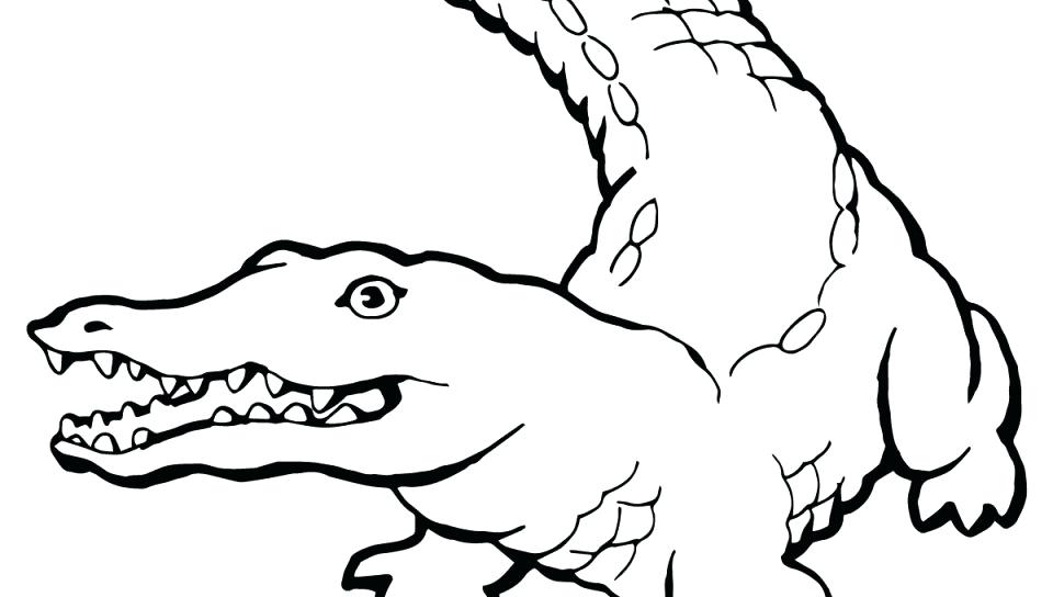 960x544 Crocodile Coloring Pages Beautiful Crocodile Coloring Page In Free
