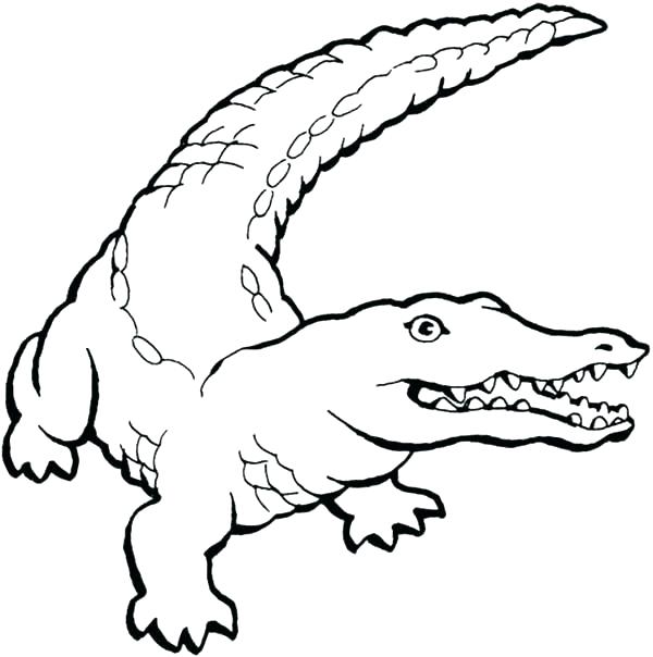 600x604 Crocodile Coloring Pages Crocodile Coloring Pages Crocodile