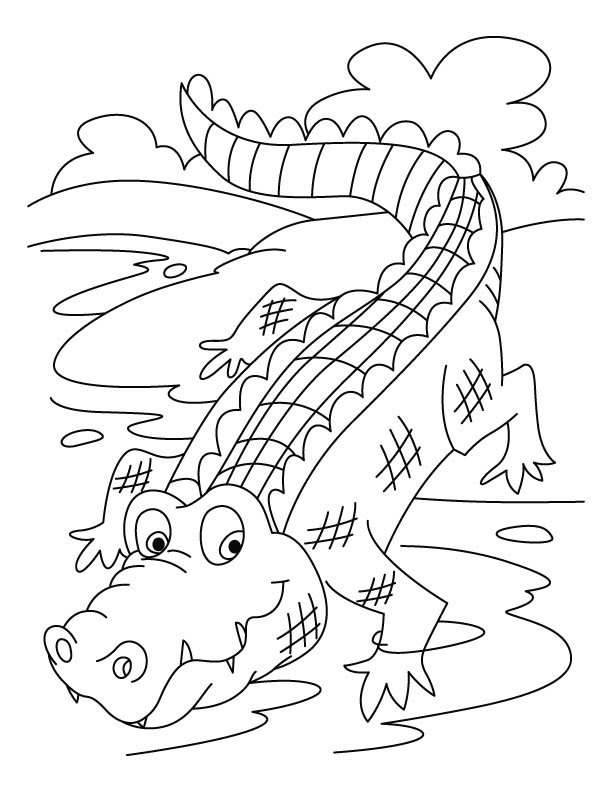 612x792 Alligator Coloring Pages Best Of Free Printable Crocodile Coloring