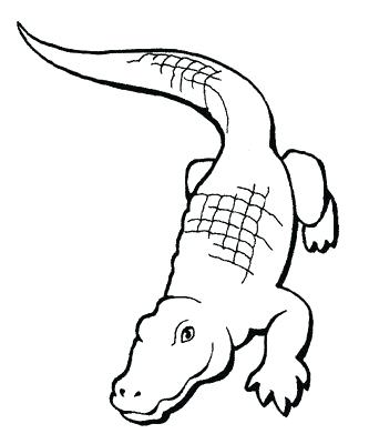 333x400 Crocodile Coloring Pages Printable Crocodile Coloring Pages