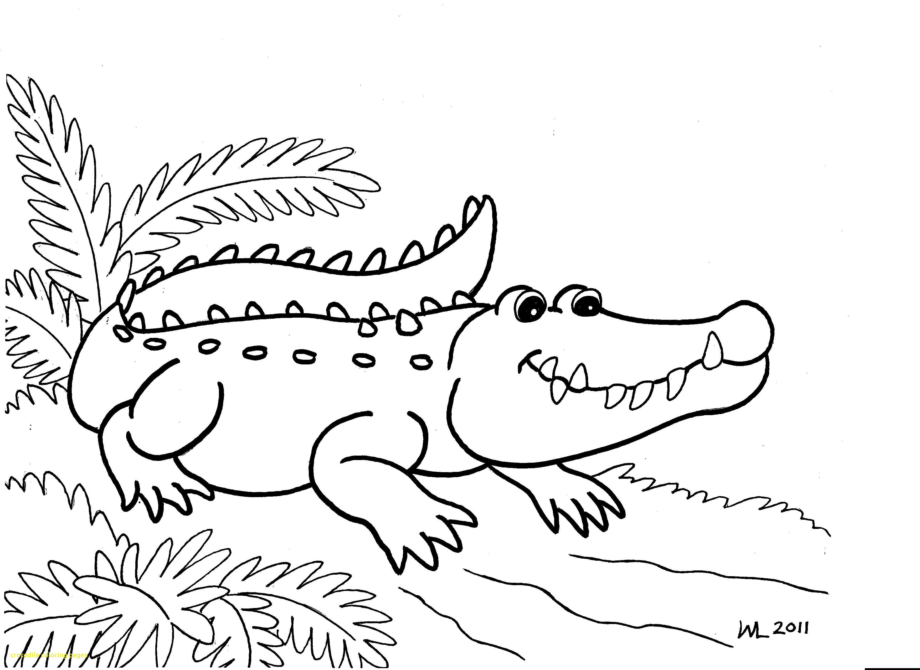 3501x2550 Crocodile Coloring Pages With 43 Aligator Coloring Pages Alligator
