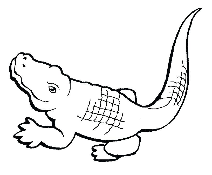 Crocodile Coloring Pages at GetColorings.com | Free printable colorings ...