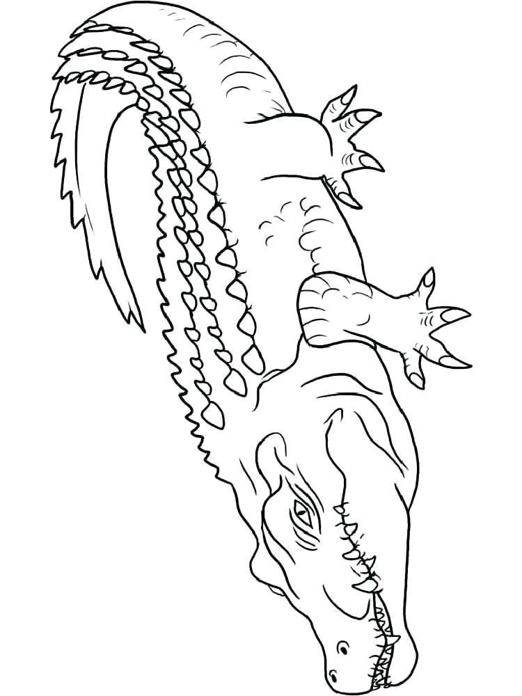 750x1000 Crocodile Coloring Pages Alligator Sandile Pokemon Coloring Pages