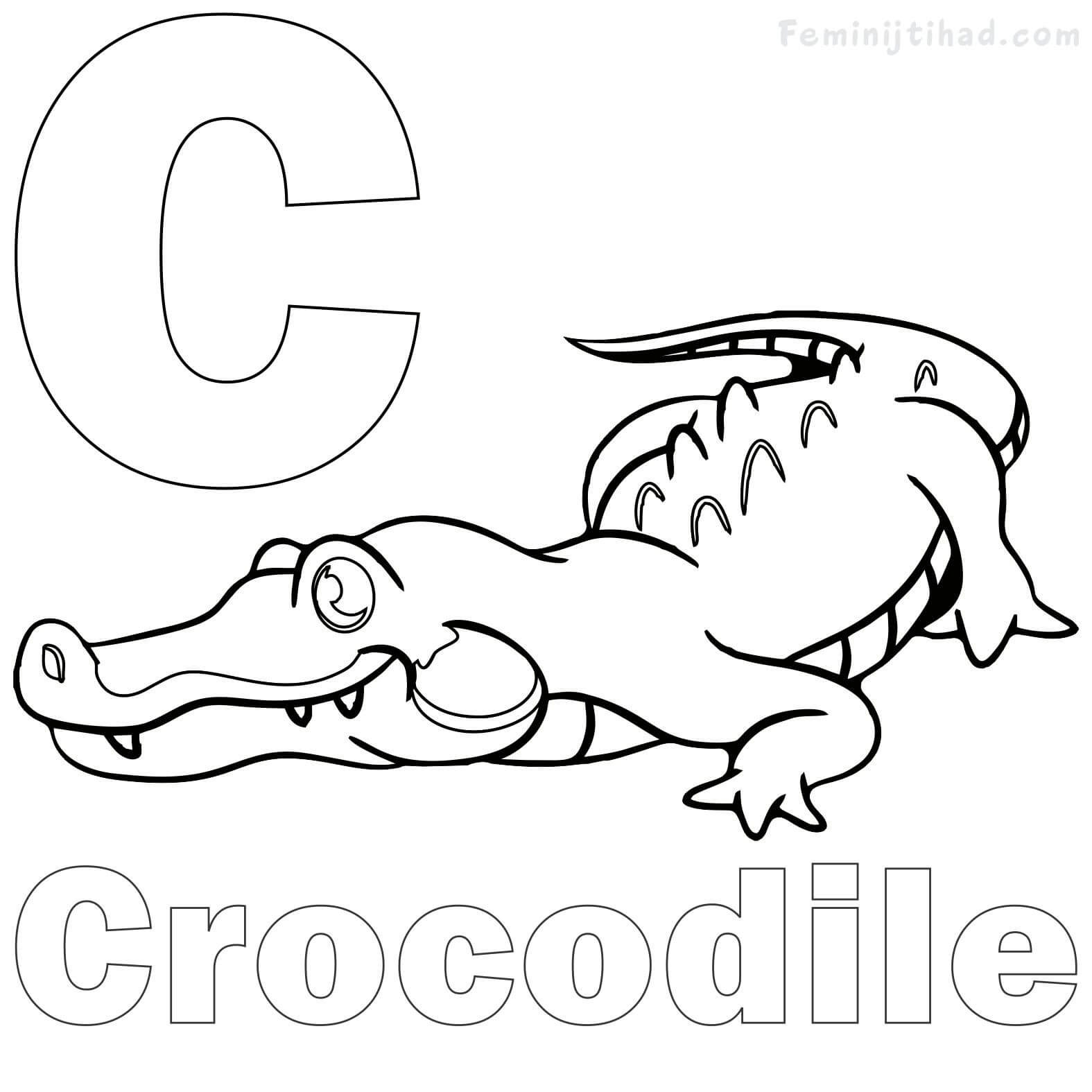 1575x1575 Crocodile Coloring Pages Printable Coloring Pages For Kids