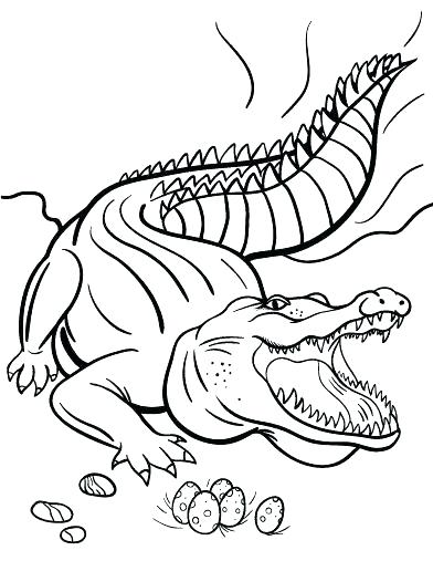 392x507 Crocodile Colouring Pages Printable Coloring Page Hunter Free
